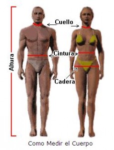 dieta7 229x300 ¿Cuántas proteínas y grasas necesita el cuerpo a diario?