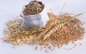 f319 La importancia de la fibra soluble e insoluble en la dieta