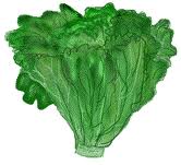 l231 Este verano se lleva el verde en la dieta diaria