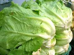 l43 Este verano se lleva el verde en la dieta diaria