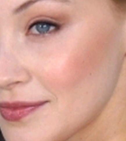 sara21 Sara Gandon en Cannes 2012: Un look discreto y favorecedor