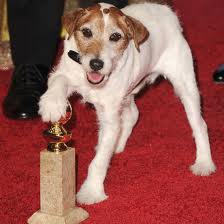 u221 Uggie, el perrito de The Artist en los Oscar y Chopard  